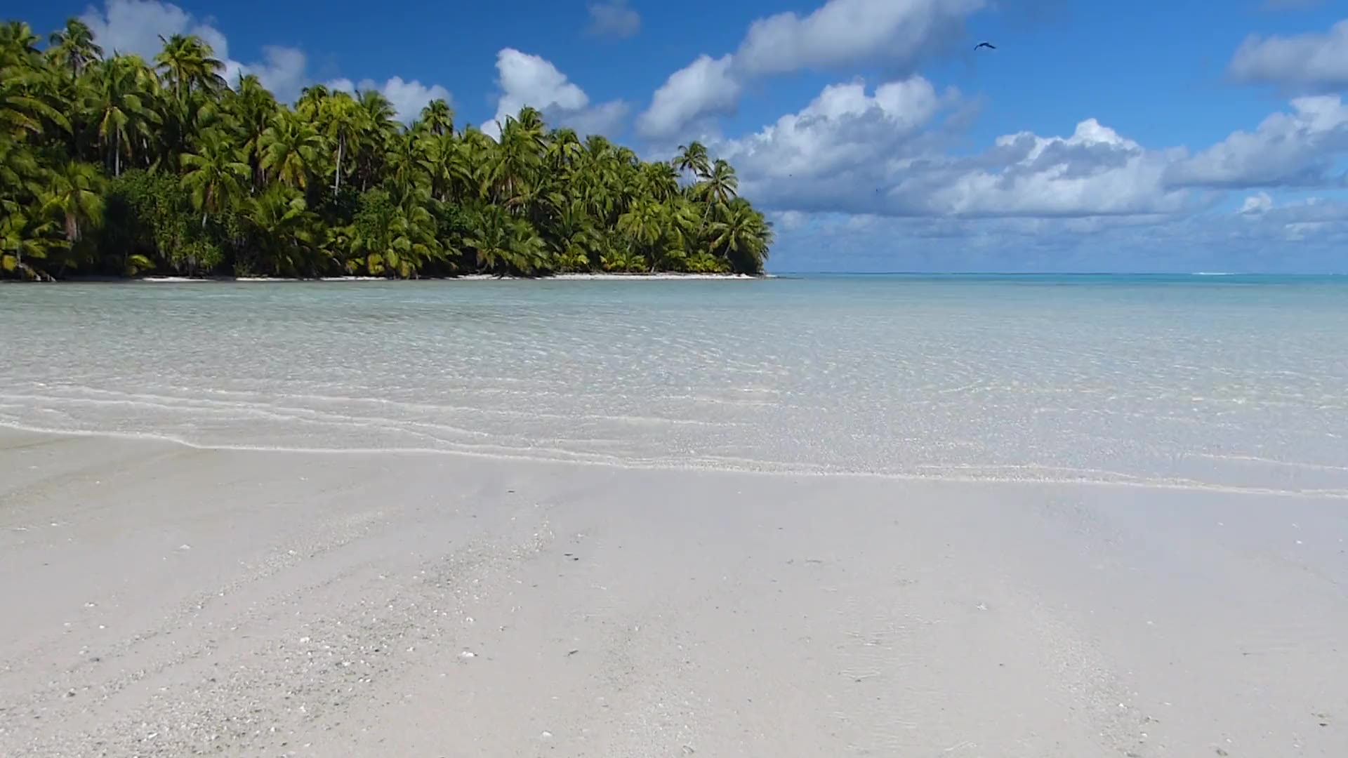 Lagon turquoise et plage de sable blanc